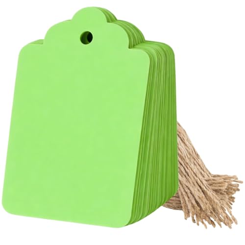 Image of CVANU 300pcs Premium Color Tag Blank Hanging with Pre-Punched Hole Tags for DIY Crafts, Gift Wrapping, Labelling & Writable Decorative Tags for All Occasions (2.85in X 1.7in) Light Green