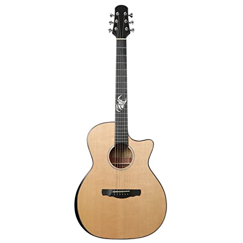 SheIRin Guitarra acústica para Principiantes Adultos Cutaway 40 Pulgadas Acustica Guitarra Bundle Kit con Bolsa sintonizador Capo Correa de Cuerda