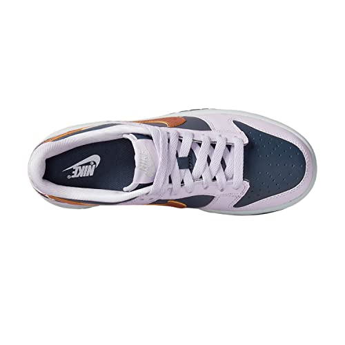 Nike Dunk Low SE Big Kids' Shoes Size- 4.53