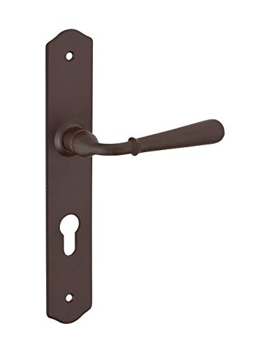 THIRARD - Ensemble de Poignées pour Porte d'Entrée Charon - Acier Rouillé - Trou de Cylindre - Carré 7 mm - Entr'Axes 195 mm - Esthétiques et Pratiques - Gris