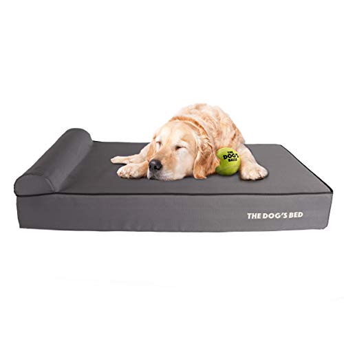 Best Orthopedic Dog Bed For After Surgery 10Reviewz