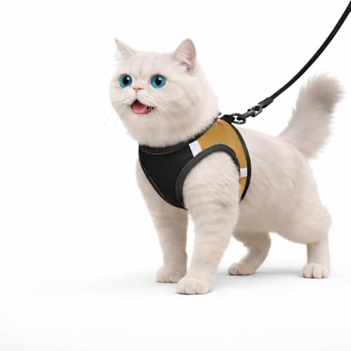 Image of Berlin's Cat Harness with Leash for Outdoor, Walking, Escape Proof, Air Mesh Fabric, Easy Control, Adjustable & Durable Cat Leash with Harness for Cats (Black-Golden, Large)