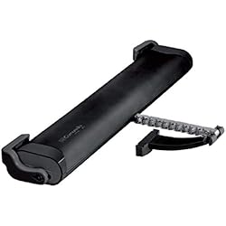 Cadena de motor para ventanas sobresalientes, basculantes, montantes, claraboyas, cúpulas, modelo LIWIN L25 250 N, carrera: 380 mm, color negro