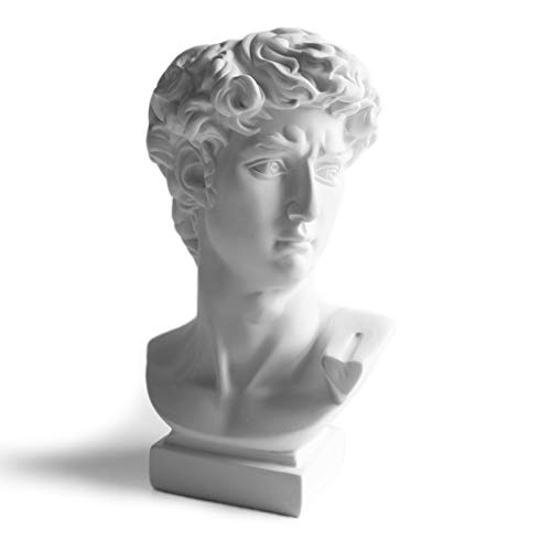 Scmaigu 6.5”David Statue Decor Greek Head Statue Vase Bust Planter Face Flower Pot Sculpture Dark Light Academia Aesthetic Room Bookshelf Décor Mini White Roman Renaissance Statues #TOP26
