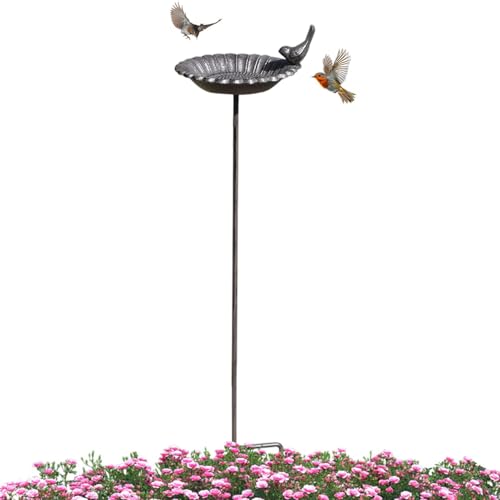 Mangeoire de jardin et bain d'oiseaux pour votre porche