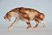 WLNTDOLA Smilodon Figure Saber-Toothed Tiger Felidae Model PVC Decoration Gift for Adult