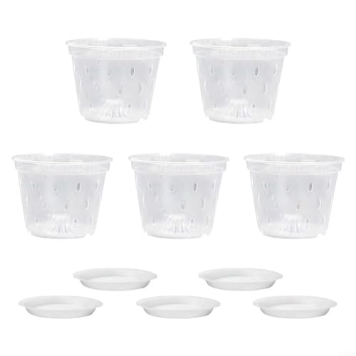 HavenDomicile Vasi trasparenti per orchidee, sistema di drenaggio da 17 cm, in plastica trasparente, contenitori per coltivazione da interni, con base per la cura delle orchidee (B)