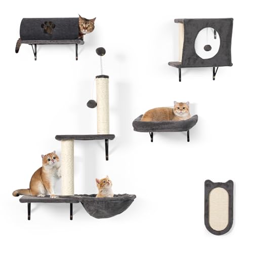 Kletterwand Katzen, LitaiL 5-teilig Katzen Kletterwand Set mit Kratzbaum, Kratzbrett Sisal für Wandmontage, mit Katzentunnel, Katzenliege, bis 10KG, (Grau) Kletterwand Katzen, LitaiL 5-teilig Katzen Kletterwand Set mit Kratzbaum, Kratzbrett Sisal für Wandmontage, mit Katzentunnel, Katzenliege, bis 10KG, (Grau)