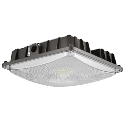 JC-LGL LED Canopy Lights, 40W, 5600LM, 5000K, 0-10V Dimmable, 120-277VAC, IP65 Waterproof, UL Listed, Commercial LED Canopy Lights Outdoor for Gas Station, Carport, Parking Garage, Warehouse, 1 Pack