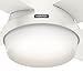 Hunter 59244 Dempsey Ceiling Fan 44 inches Fresh White