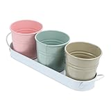 Seau à fleurs : idéal pour l'organisation et le stockage, décoration intérieure de ferme, organisateur de stockage, porte-collation, porte-ustensiles, organisateur de salle de bain, seaux à fleurs