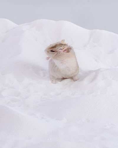 Image of Niteangel Hamster Desert Bath Sand | No-Dust Bath or Potty Litter for Hamster Chinchillas Gerbil Mice Degu or Other Small Pets (White Sand, 6LB /96oz)