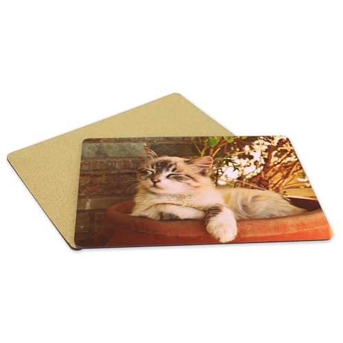 Sets de table chat mignon imperméables et faciles à nettoyer