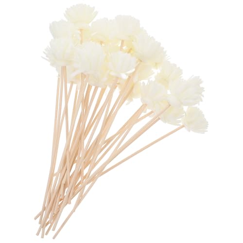 Hemobllo Palitos de Ratán Material PE y Ratán para Difusor de Aroma Flores Secas 30 Piezas Excelente Absorción de Agua y Apariencia Regular para Ambientación del Hogar