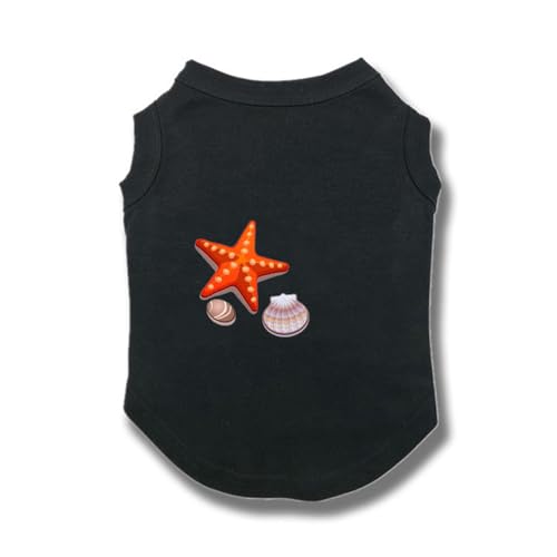 [XANPYO] ubN ybg Ȑ tH~ Lm ʋC ₩ Ăh Eѕی ?Oh U o ƒ lGʗp ybg  hbOEFA xXg t@bV lC Ȃ їh~ EȒP L