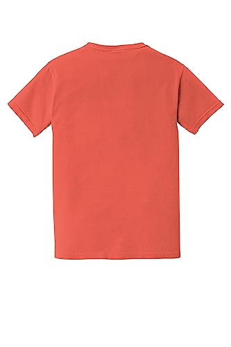 Image of Comfort Colors Mens 6030cc