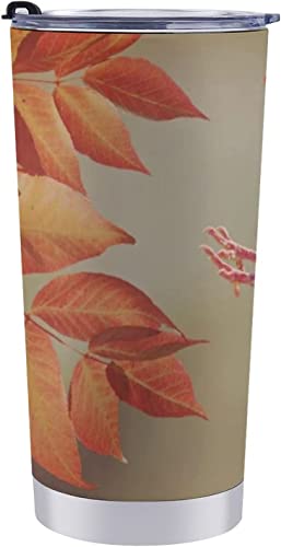  35 }O t@bV ԃJbv ԗpJbv R[q[Jbv ԗp|bg ԗpPg ۉt ۉ ۗ ӂt 600ml J[pi Vv y e jp