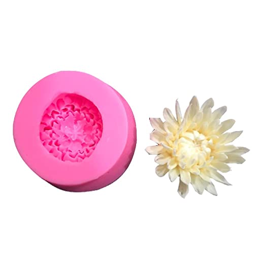 Modelo de pie de Silicona, Maniquí Grecia femenino pie modelo falso uñas arte silicona hembra masculina pierna pantalla humana tg3717(All bone,Right foot)