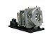 Produktbild codalux Beamerlampe für OPTOMA SP.72701GC01, BL-FU260B, PHILIPS Lampe mit Gehäuse