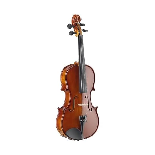 Stagg Violine/Geige aus massivem Ahorn mit Tasche