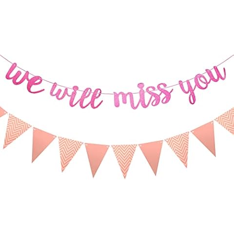 Popuppe We Will Miss You Banner Decorations, Rose Gold Glitter Pennant Bunting Banner for etirement Graduation Leaving Farewell Decorations Office Work Going Away Party Decorations Cover