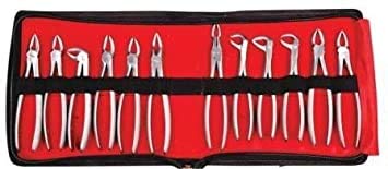 Forgesy Dental Tooth Extraction Forceps Kit (Set Of 12) (B085VPHG6S) Amazon Price History, Amazon Price Tracker