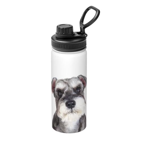 ���� ���킢�� �V���i�E�U�[ �� �}�O�{�g�� 530ml �ۗ� �ۉ� �X�|�[�c�{�g�� �X�e�����X�{�g�� ������� ���킢�� �L�� ������ �R��h�~ �n���h���t�� �􂢂₷�� �������ȒP �g�ѕ֗� �o�R�p �I�t�B�X �X�|�[�c �j�����p