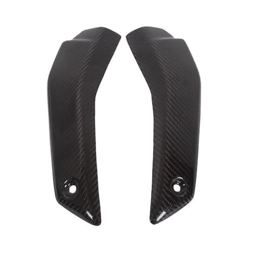 Couvercle de radiateur moto Streetfighter V4 S 2020 2021 panneaux latéraux
