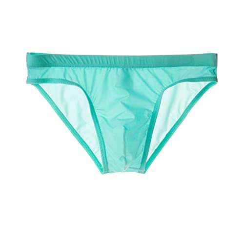 Masculine Underwear Briefs for Men Men's Silk Transparent Panties