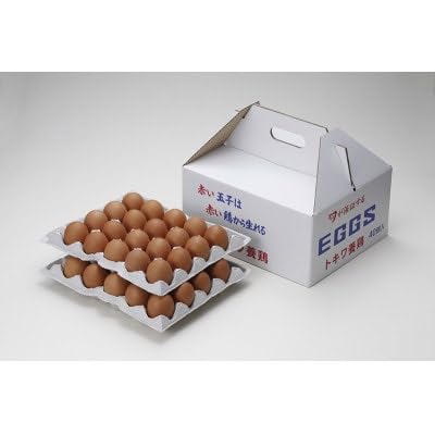 トキワのたまご(赤玉) 40個入