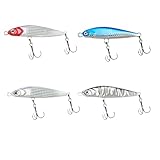 HNJHTZ Pencil Fishing Lures-Suitable for All Kinds of Waters, with 3D Fishing Eyes, Laser Reflective Coating (22g(4pcs))