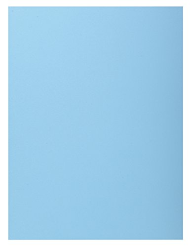Exacompta, Ref 348000E, Super 210 1-Flap Folders, 240 x 320mm in Size, Suitable for Holding A4 Documents, 160gsm Card