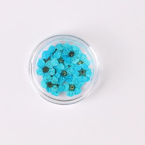 100 piezas flores secas narciso para arte en uñas miniatura 1