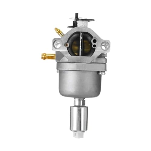 Carburateur 794572 pour tondeuse Briggs & Stratton 799727