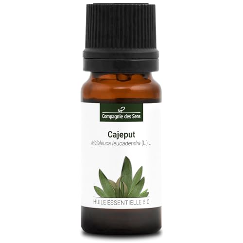 CAJEPUT (Melaleuca leucadendra) BIO - 10mL - Olio Essenziale di Qualità Premium - 100% Puro, Naturale, Chemiotipizzato e Integrale