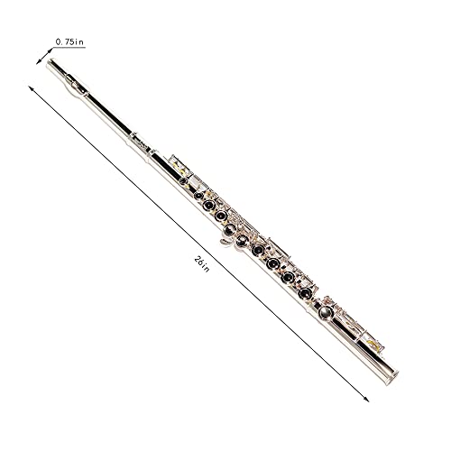 Lesage LN-FLUTE C Flutes Closed Hole 16 Key Silver Nickel Flute thumb #2