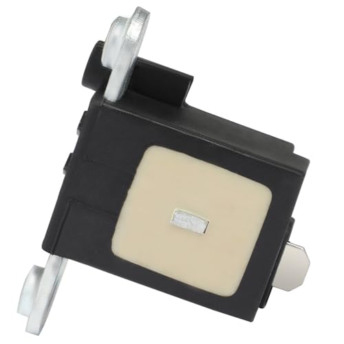 ECCPP Generator Stator Magneto Fit for 1988-2000 for Honda FourTrax 300