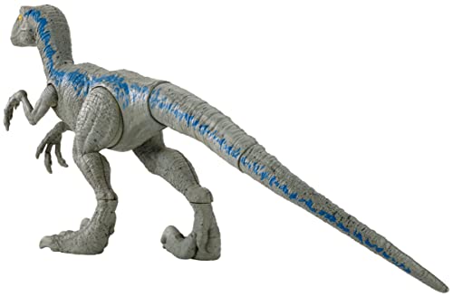 Jurassic World Velociraptor Blue, Dinossauro de 12
