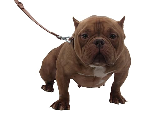 SINMORA Dog Collar and Leash Set Adjustable Strong Dirt Resistant Deodorization Waterproof Easy to Clean Soft Not Fall Off Pet Collars Leashes for Large Medium Small Dogs 6FT Dog Leash (L, Brown) - Image 8