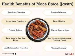 Pro Organic Life Javitri (Mace) 50 Grm