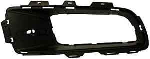 SZSS-CAR Car Fog Light Grilles Replacement For BMW X5 E70 2007-2010 Auto Front Bumper Lower Grille Fog lamp Cover 51117172449/51117172450(Passenger side)