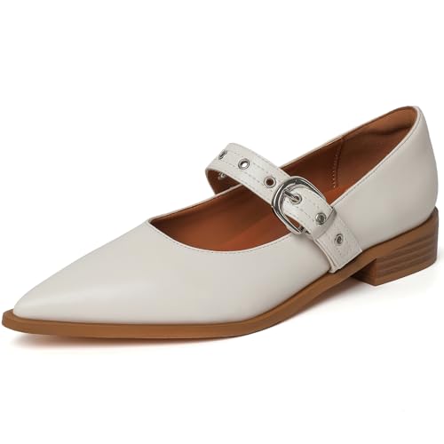 GOUPSKY White Mary Jane Shoes Women Chunky Low Heels Buckle Strap Pumps Womens Closed Pointed Toe Ballet Flats Causal Daily Dress Shoes Size 8