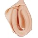 Kutocesy Crossdresser Men’s Hiding Gaff Silicone Vagina Panties for Transgender Crossdress Cosplay Drag Queen Fake Pussy for Men Role Play (Channel Model)