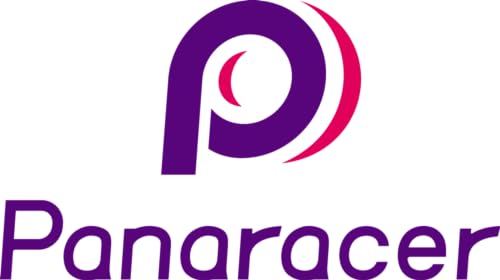 PanaracerTyre