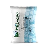 ALBA MILAGRO INTERNATIONAL S.p.A