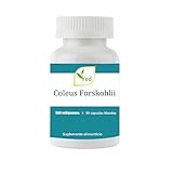 VED Coleus Forskohlii | Promueva la función vascular saludable | 500 mg 90 cápsulas