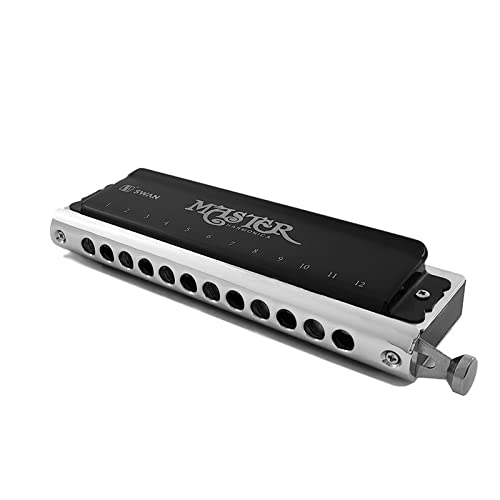 Harmonica Harmonica coloré 12 trous 48 touches d’orgue à bec C instrument professionnel phosphore bronze alliage anches - Les Beatles, Paul McCartney, John Lennon, RIngo Starr, George Harrison Harmonica Harmonica coloré 12 trous 48 touches d'orgue à bec C instrument professionnel phosphore bronze alliage anches – Image 4
