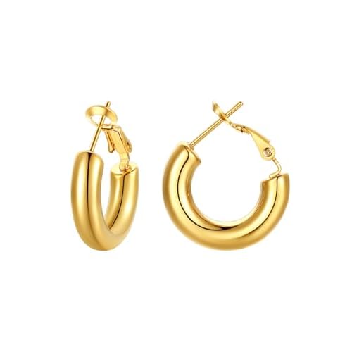 Classic Black/18K Gold Plated/Stainless Steel Hoop Earrings for Women 20mm/30mm/40mm/60mm/80mm Oversized Hypoallergenic Chunky Tube Hoops Rounded Loop Earrings Come with Box 02.18K Gold Plat