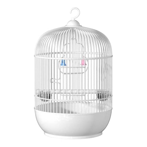 Jaula De Transporte De Aves: Periquito Portátil Y Una Pequeña Jaula De Pájaros con Mango Y Perca | House For Lovebirds Conures Cockatiels Pakeet Pakisil Party Pundorios Accesorios Portátiles Buddy