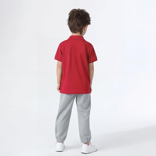 Image of Boy Polo Shirt Pique School Uniform Shirt for Kid Golf Top Youth Boy 5-14Y